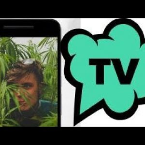 How TokeTV is banking on legalizing marijuana