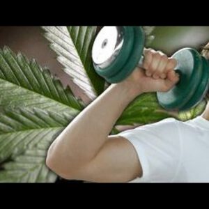 World’s first ever weed gym opening in San Francisco