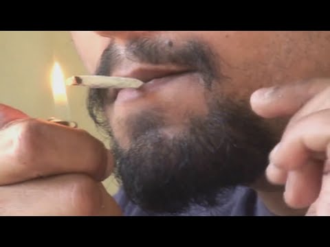 Hashish Legalization Conference comes to Albuquerque Conference Heart
