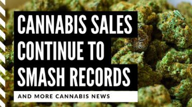 Hashish Legalization News: 4 States Document Story Breaking Gross sales