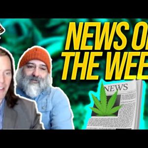 Hashish News of The Week | Hashish Legalization News