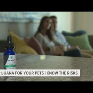 Pot for pets? Cannabis products marketed for animals