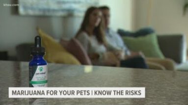 Pot for pets? Cannabis products marketed for animals