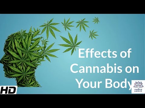 Effects of Hashish to your physique.