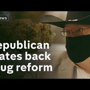 The Republican states backing marijuana legalisation