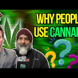 Why Other folks Use Cannabis?