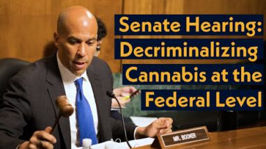 Survey Hearing: Decriminalizing Cannabis at the Federal Level: Most necessary Steps to Address Past Harms
