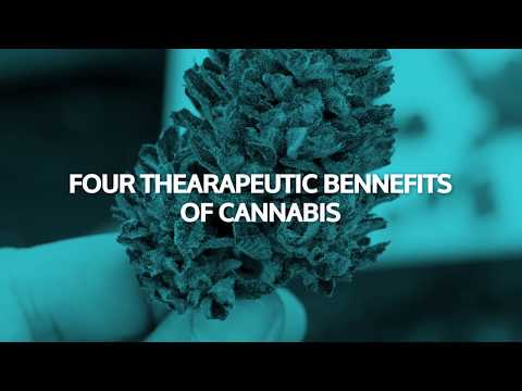 Four therapeutic advantages of hashish