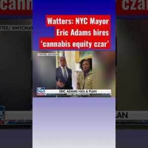 Jesse Watters: Cannabis needs to be equitable for Mayor Eric Adams #shorts