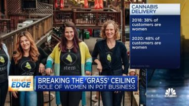 Ladies accomplish up majority of contemporary cannabis alternate hires: Sage