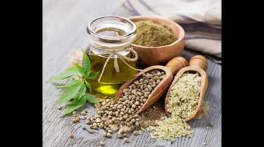 Hemp Oil Advantages for Your Physique and Hair