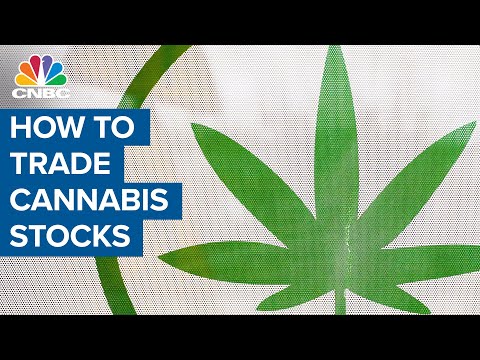 Analyst on which cannabis shares are most weak to a brief squeeze