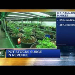 Cannabis is with out doubt one of many quickest rising alternate within the U.S.