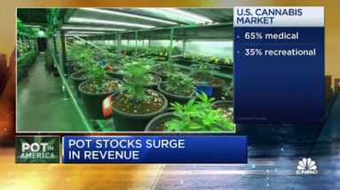 Cannabis is with out doubt one of many quickest rising alternate within the U.S.
