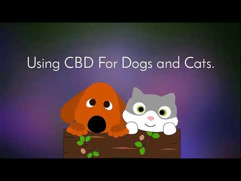 CBD Oil for Dogs Seizures