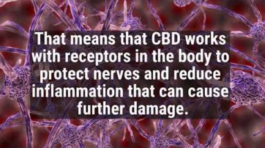 CBD More than one Sclerosis 1080p