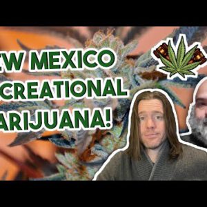 Info Mexico’s Recreational Marijuana License Info | Gross sales in Recent Mexico coming in spring 2022