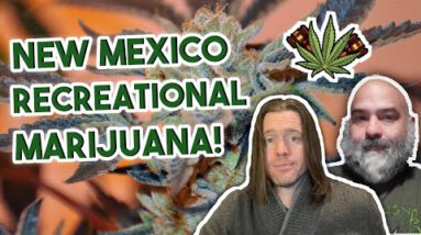 Info Mexico’s Recreational Marijuana License Info | Gross sales in Recent Mexico coming in spring 2022