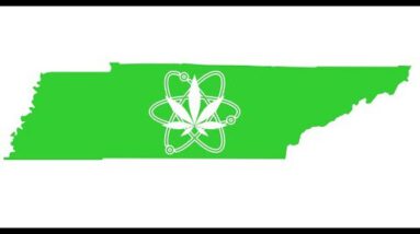 THE LEGAL STATUS OF CANNABIS: TENNESSEE