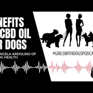 Girls with Canine, S 2 Ep 2 – Advantages of CBD Oil for Canine with Angela Ardolino of CBD Dog Health