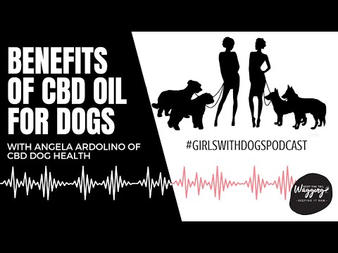 Girls with Canine, S 2 Ep 2 – Advantages of CBD Oil for Canine with Angela Ardolino of CBD Dog Health