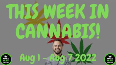 This Week in Hashish News – Aug 1 to Aug 7 2022