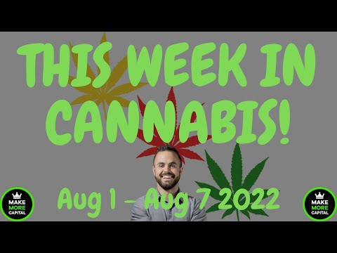 This Week in Hashish News – Aug 1 to Aug 7 2022