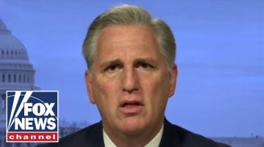 McCarthy unleashes on Dems for prioritizing ‘cats and cannabis, now not covid’