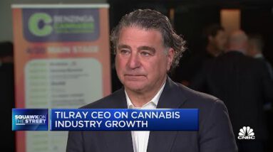 Europe will legalize marijuana over the next yr or so: Tilray CEO