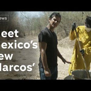 Internal Mexico’s accurate lifestyles ‘Breaking Unpleasant’