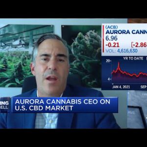 You might per chance gaze medical marijuana first on the federal stage within the U.S.: Aurora Cannabis CEO
