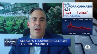 You might per chance gaze medical marijuana first on the federal stage within the U.S.: Aurora Cannabis CEO