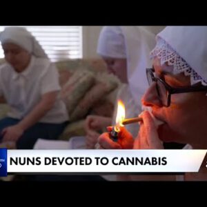 California ‘nuns’ making hundreds and hundreds tapping into the booming cannabis industrial