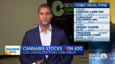 Cannabis stocks remain below stress despite federal legalization efforts