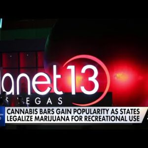 Cannabis consumption lounges set in recognition