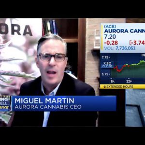 Aurora Hashish CEO: Company is now on track to be a hit by fiscal 2023