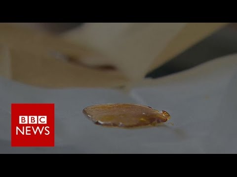 BHO: Warning over production of orderly-energy cannabis – BBC News