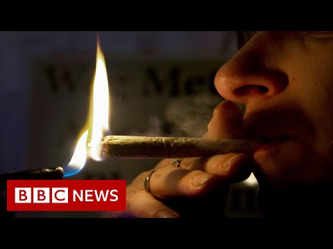 Malta becomes first EU nation to legalise cannabis – BBC News