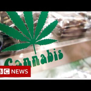 Thailand legalises cannabis rising and alternate – BBC News