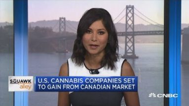 US cannabis firms space to assign from Canadian market