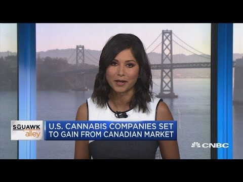 US cannabis firms space to assign from Canadian market
