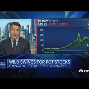 Tilray CEO on Canada legalization, yelp and the cannabis industry