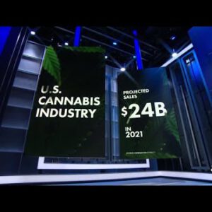 Senate Democrats push for nationwide marijuana legalization