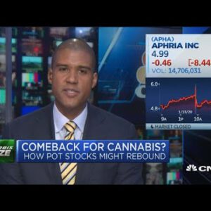Cannabis shares will seemingly be relighting in 2020