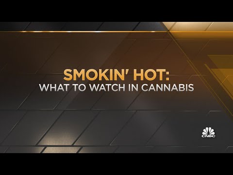 Four things within the cannabis market for investors to seem: Tim Seymour
