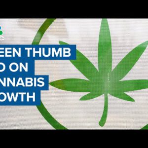 Inexperienced Thumb CEO on cannabis suppose: Individual query is excessive