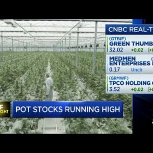 Pot shares working excessive—This is the procedure it’s affecting these ETFs