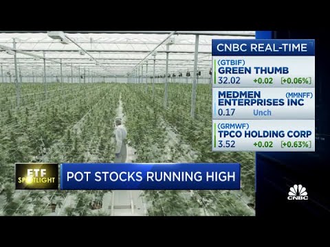 Pot shares working excessive—This is the procedure it’s affecting these ETFs